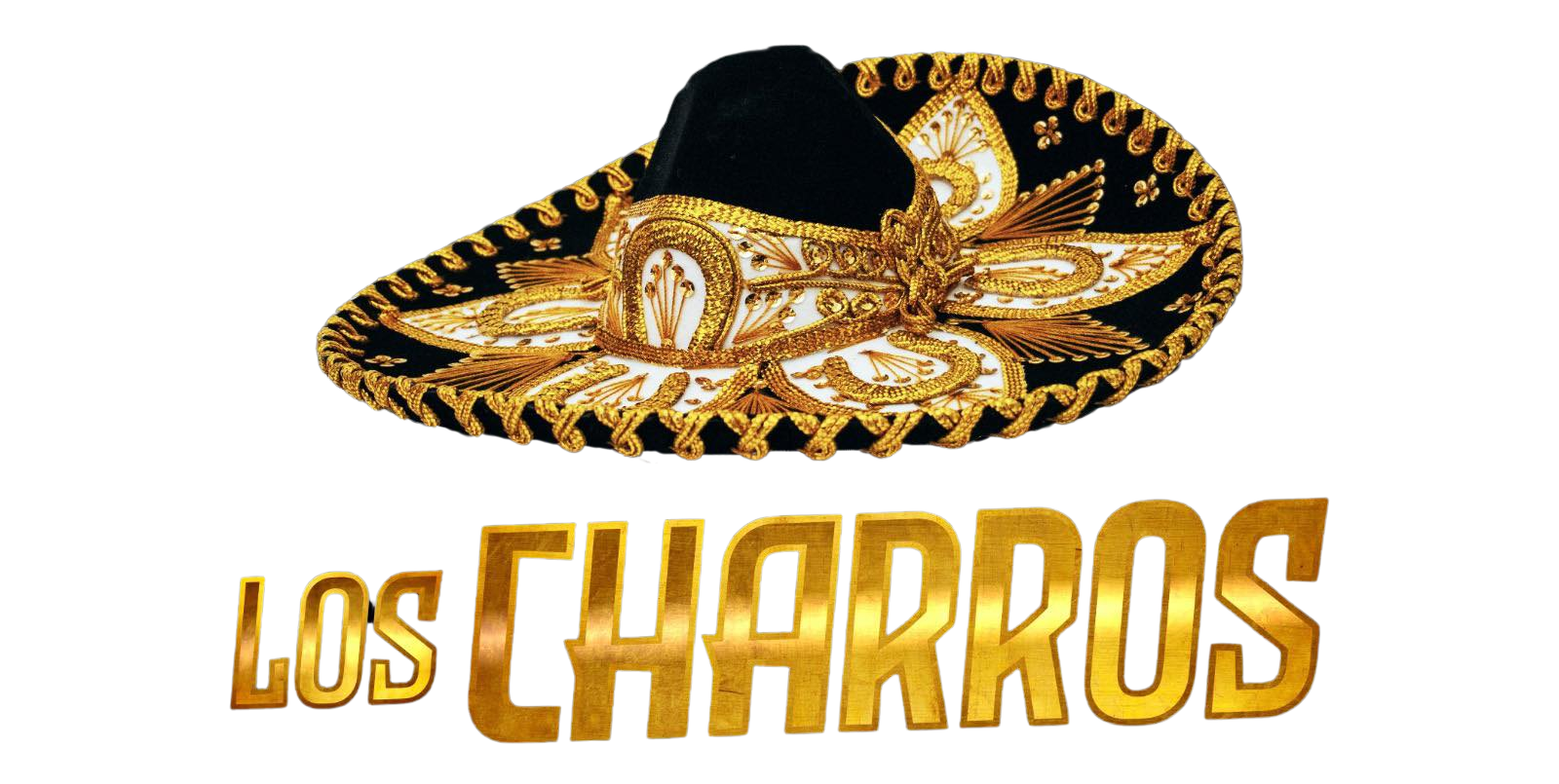 lOGO RECORTADO