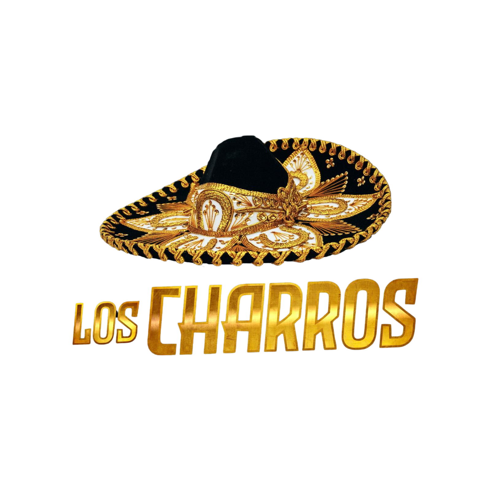 lOGO RECORTADO